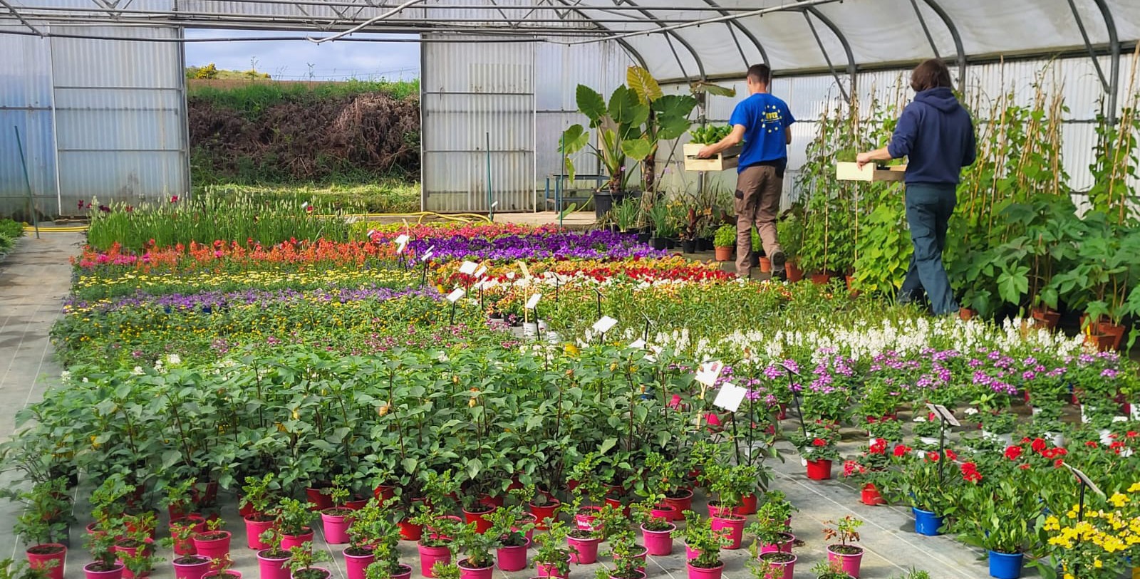 capa-métiers-de-l'agriculture