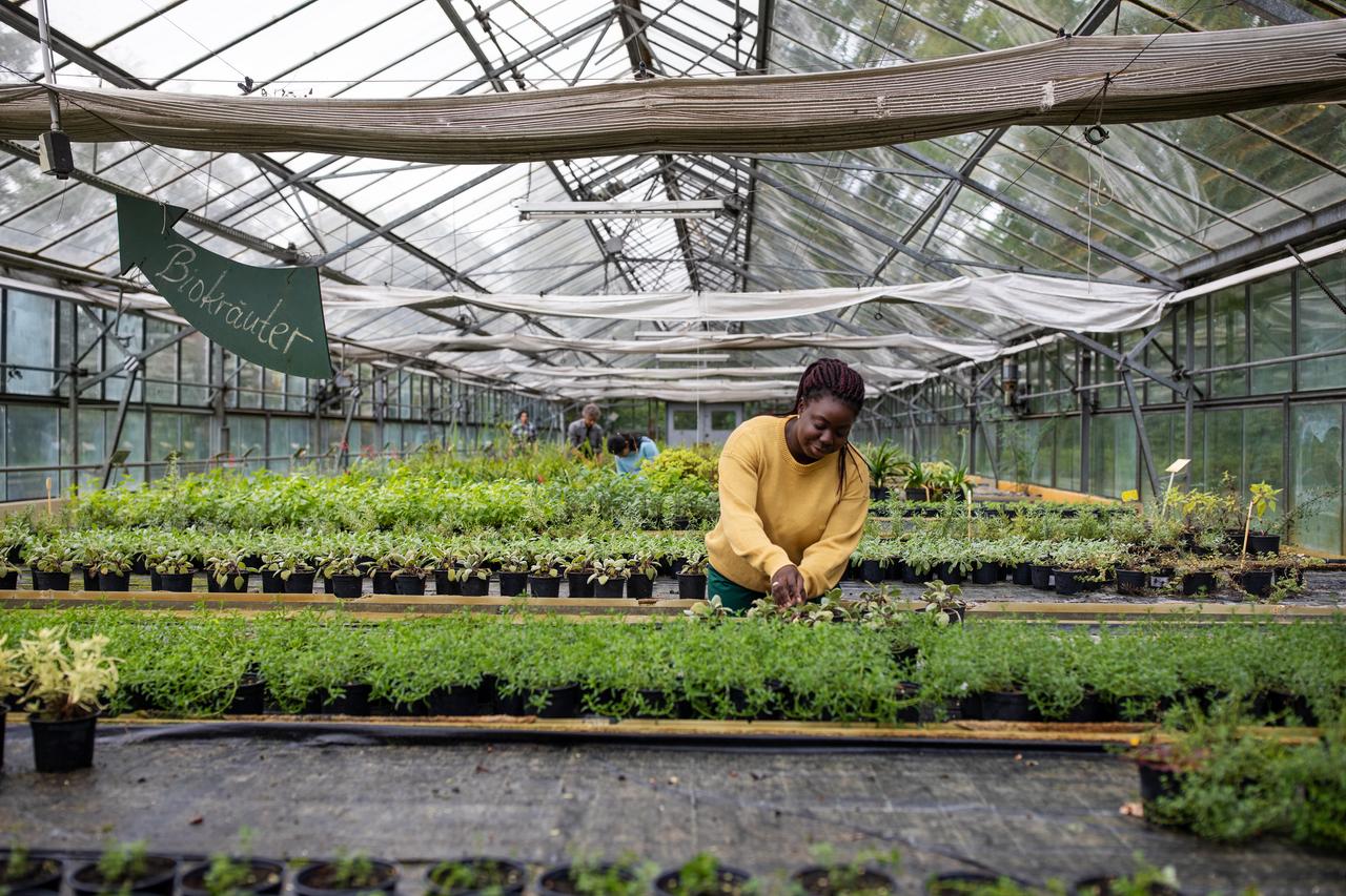 BAC-Pro-Conduite-de-productions-horticoles